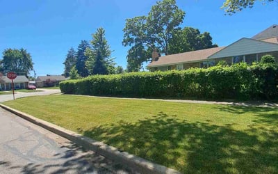 Photo of Judith C.'s yard after getting lawn care in Des Plaines, IL