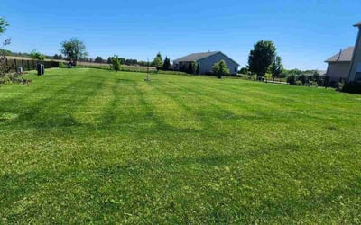 Photo of Kristin R.'s yard after getting lawn care in Belvidere, IL