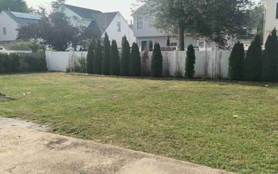 Photo of Gina P.'s yard after getting lawn care in Hoboken, NJ