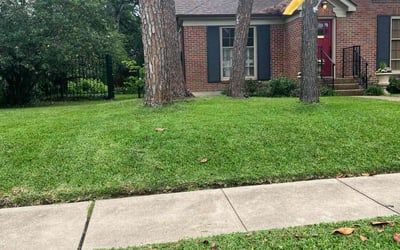 Photo of Danika A.'s yard after getting lawn care in Houston, TX