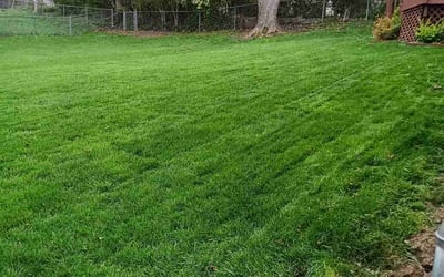 Photo of Don B.'s yard after getting lawn care in Hazelwood, MO
