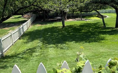 Photo of Albert I.'s yard after getting lawn care in Wichita Falls, TX