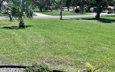 Photo of Jasmyn N.'s yard after getting lawn care in Amelia, OH