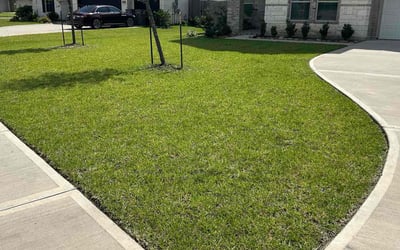 Photo of Casey W.'s yard after getting lawn care in Jacksonville, FL