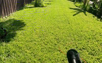 Photo of Harrell S.'s yard after getting lawn care in Garland, TX