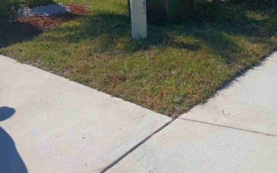 Photo of Casey M.'s yard after getting lawn care in Joppa, MD