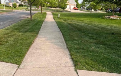 Photo of Trevor M.'s yard after getting lawn care in Caledonia, MI