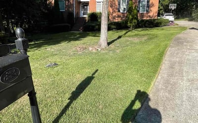 Photo of Gordon T.'s yard after getting lawn care in Marysville, WA