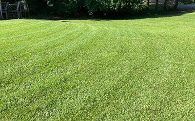 Photo of Felicia P.'s yard after getting lawn care in Greenville, SC