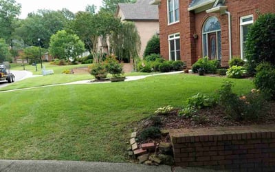 Photo of Wayman R.'s yard after getting lawn care in Oneonta, AL