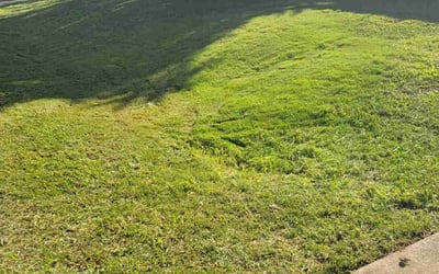 Photo of Elizabeth L.'s yard after getting lawn care in Schwenksville, PA