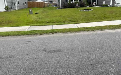 Photo of Linda A.'s yard after getting lawn care in Binghamton, NY