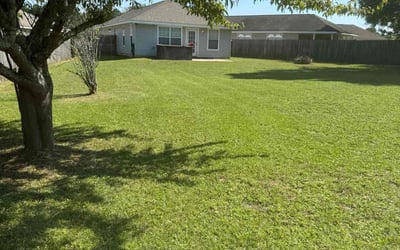 Photo of Kaylin S.'s yard after getting lawn care in Pensacola, FL