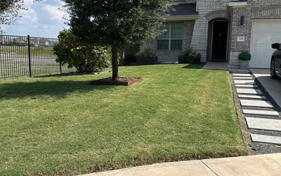 Photo of Linda H.'s yard after getting lawn care in Buda, TX