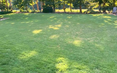 Photo of Veli B.'s yard after getting lawn care in Dacula, GA