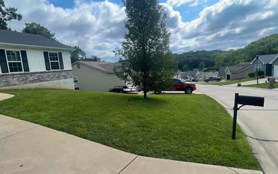 Photo of Neil S.'s yard after getting lawn care in House Springs, MO
