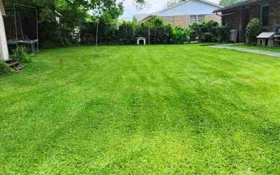 Photo of Leslie C.'s yard after getting lawn care in Fayetteville, NC