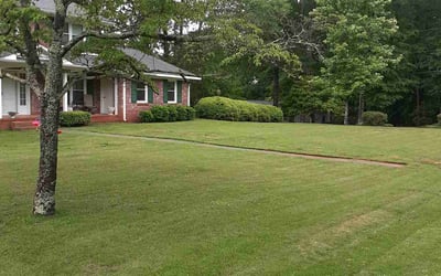 Photo of Linda L.'s yard after getting lawn care in Clemson, SC