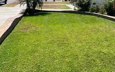 Photo of Eugene C.'s yard after getting lawn care in Montebello, CA