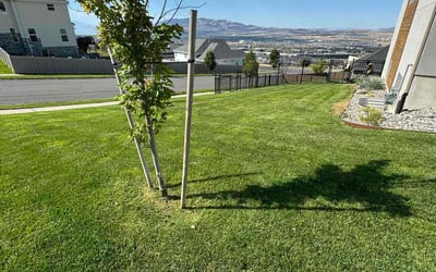 Photo of Martha C.'s yard after getting lawn care in Lehi, UT