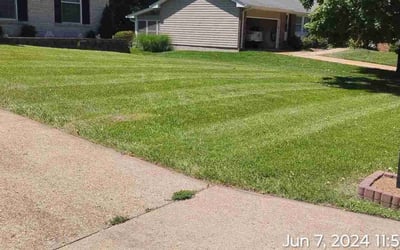 Photo of Kathryn P.'s yard after getting lawn care in Canonsburg, PA