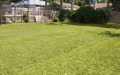 Photo of Aaron K.'s yard after getting lawn care in Nolensville, TN