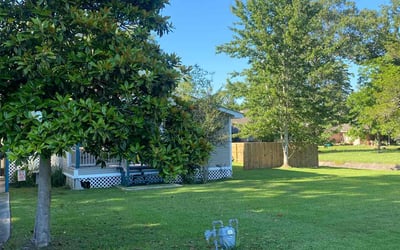 Photo of Rose P.'s yard after getting lawn care in Pineville, LA