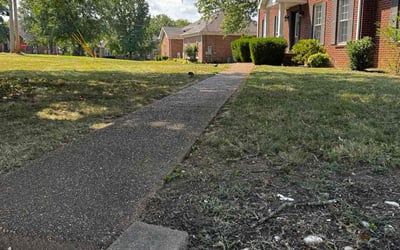 Photo of Michelle F.'s yard after getting lawn care in Leicester, NC