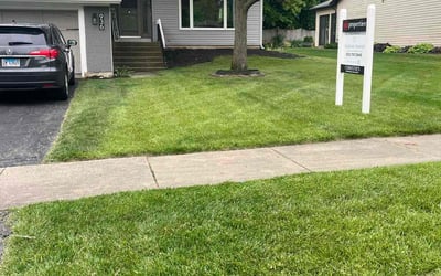 Photo of Jerel T.'s yard after getting lawn care in Bolingbrook, IL