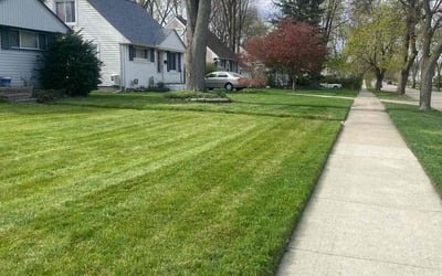 Photo of Leah R.'s yard after getting lawn care in Royal Oak, MI