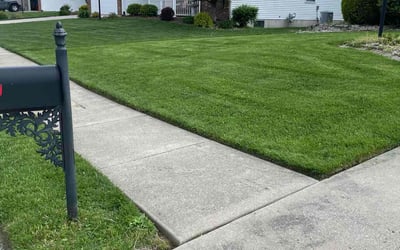 Photo of Xavier S.'s yard after getting lawn care in Glen Carbon, IL