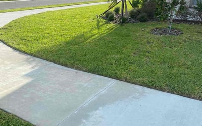 Photo of Michael J.'s yard after getting lawn care in Spring Hill, FL