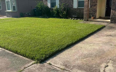 Photo of Tara S.'s yard after getting lawn care in Orange Beach, AL