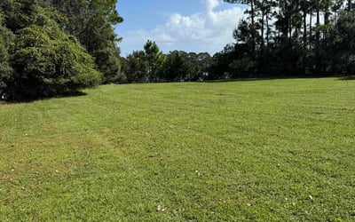 Photo of William G.'s yard after getting lawn care in Mims, FL