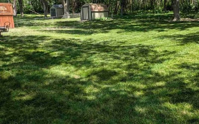 Photo of Kimberly C.'s yard after getting lawn care in Lawson, MO