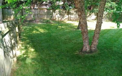 Photo of Matthew F.'s yard after getting lawn care in Leesburg, VA