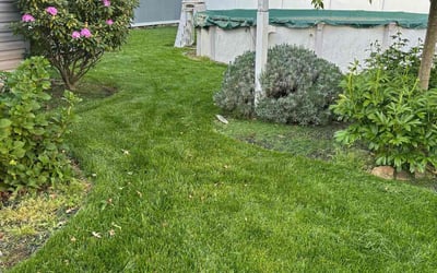Photo of James L.'s yard after getting lawn care in Pennsville, NJ