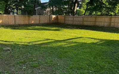 Photo of Michele F.'s yard after getting lawn care in Bangor, ME