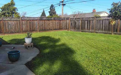 Photo of Taqqi M.'s yard after getting lawn care in Fremont, CA