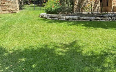 Photo of Mina B.'s yard after getting lawn care in Waynesville, NC