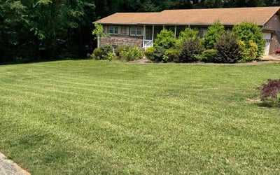 Photo of Marjorie C.'s yard after getting lawn care in Selbyville, DE