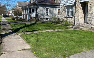 Photo of Jason F.'s yard after getting lawn care in Bellmore, NY