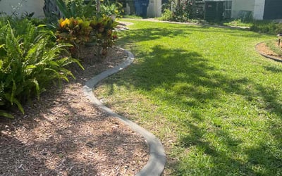 Photo of Suzanne W.'s yard after getting lawn care in Largo, FL