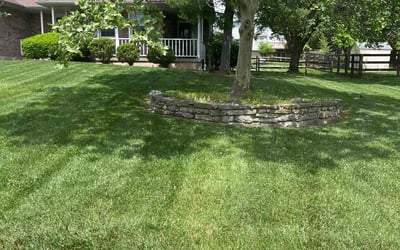 Photo of Rafeal J.'s yard after getting lawn care in Blue Ash, OH