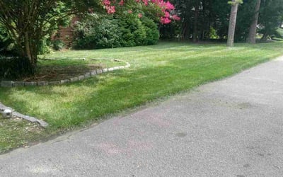 Photo of Juan A.'s yard after getting lawn care in Absecon, NJ