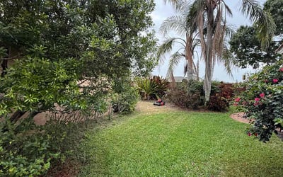 Photo of Nils G.'s yard after getting lawn care in Winter Haven, FL