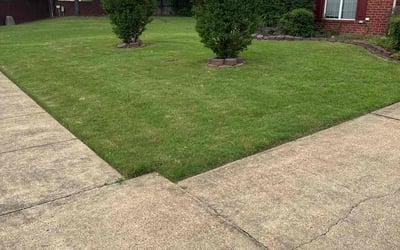 Photo of Wayne C.'s yard after getting lawn care in Pass Christian, MS