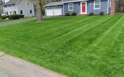 Photo of Sarah B.'s yard after getting lawn care in Rochester, NY