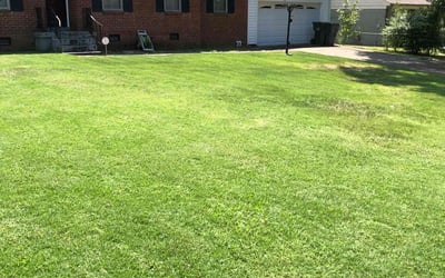 Photo of Charles E.'s yard after getting lawn care in Griffith, IN