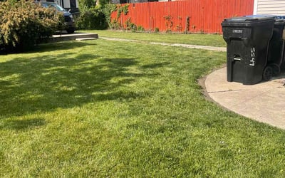 Photo of Jennifer B.'s yard after getting lawn care in Crest Hill, IL